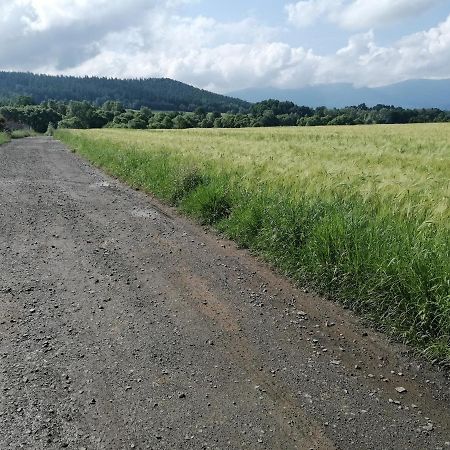 Domki Sowi Kamien Ломніца Екстер'єр фото